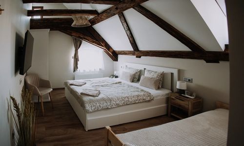 Mushrooms Malomszállás  Apartman*** Tata