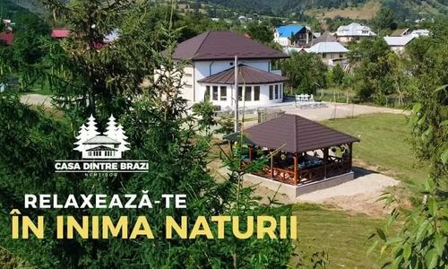 Casa Dintre Brazi Nemțișor