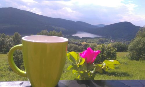 Domki na Żukowcu Bóbrka