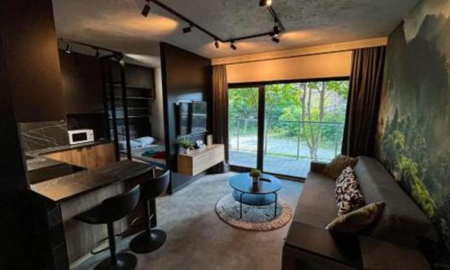 Apartament Lublin Old Town „Jungle cat” 