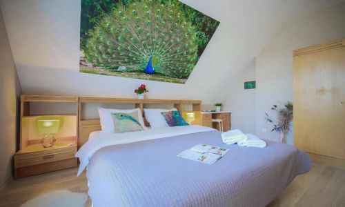 Villa Aviator Jaworze