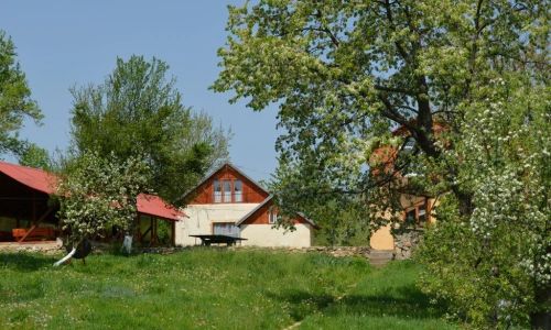 Camping Zamolxe Sarmizegetusa