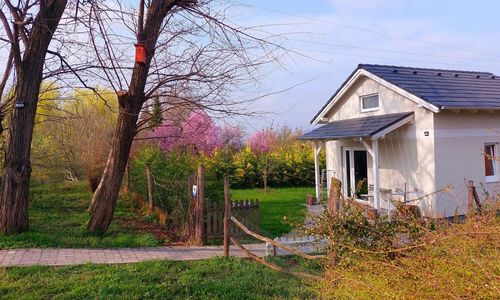 Zöld Küllő Vendégház Fehérvárcsurgó