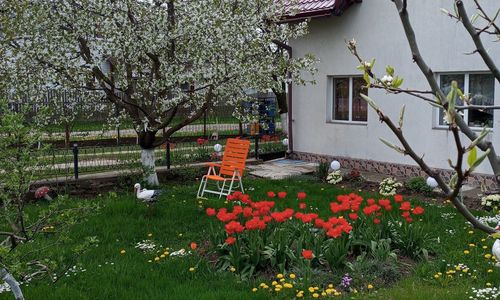 Căsuța Bunicilor Dorna Candrenilor