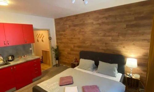 Apartmán Železná Ruda se saunou Terasy