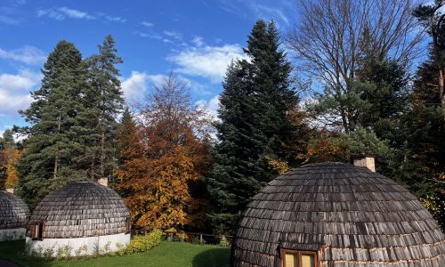 Domki Grasówka Werlas