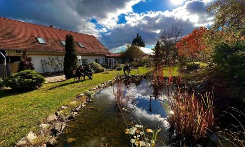 Pilisi Lovas Major Dorog