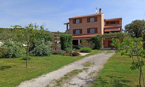 Apartment Olive Pula