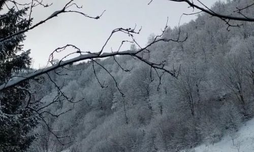 Vibe House Madisson Poiana Mărului 