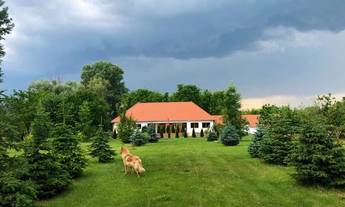 Koma Vendégház Bátorliget