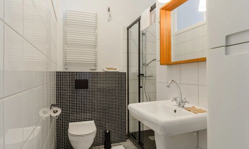 Apartament Wiejska I