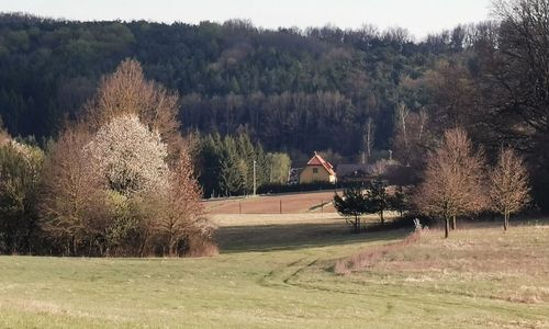 Lugosvölgyi Vendégház Kondorfa