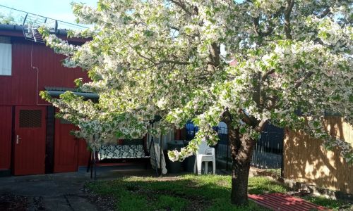 Zsófia Vendégház Jászszentandrás