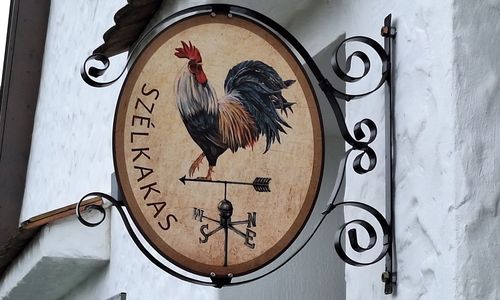 Szélkakas Apartman Villány
