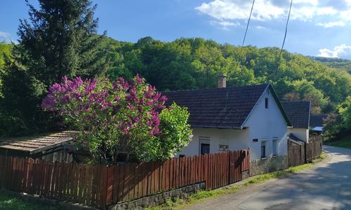 Mókusles Vendégház Háromhuta