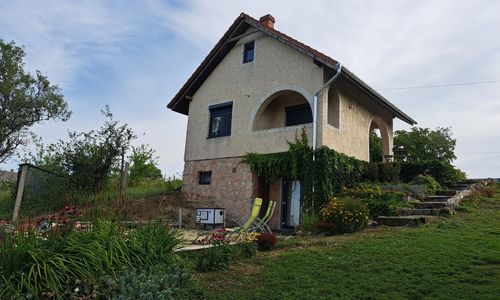 Kék Pagony Vendégház Nagyigmánd
