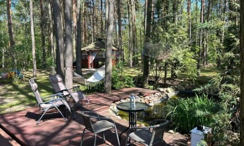 BRZOZOWY ZAKĄTEK Królewo