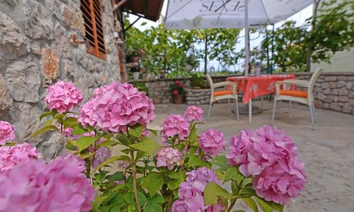 Apartmanok Parkolóhellyel Veli Losinj, Losinj - 21185 Veli Lošinj