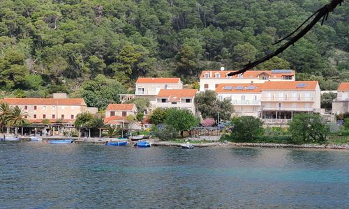 Apartmani Pjevalo Mljet