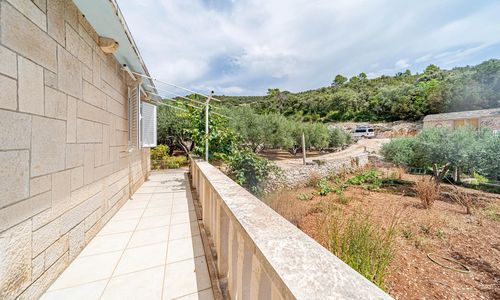 Vendégház Žrnovo - CDS980