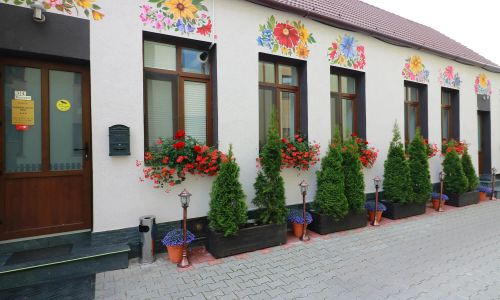 Flowers House Sibiu