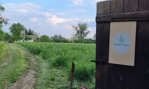 Múltidéző Tanya Csongrád