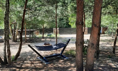 Domek Leśniczówka Gostynin