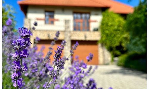 kiss on the stone Vendégház Csókakő