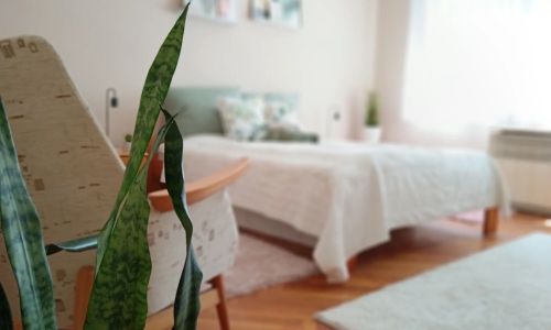 Tulipán Apartman Békéscsaba