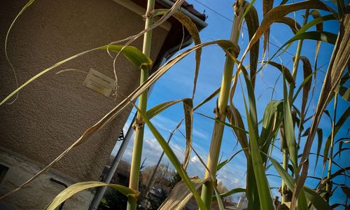 Napfény Liget Vendégház Csokvaomány