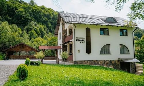 Pensiunea Diana Moisei