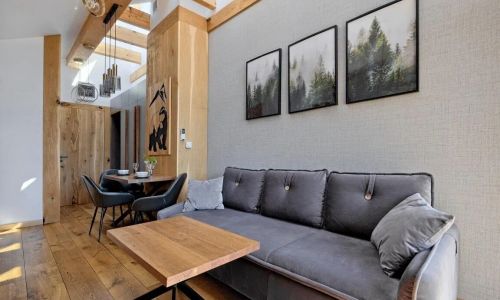 Białka Residence Ski - Apartament Grizzly II