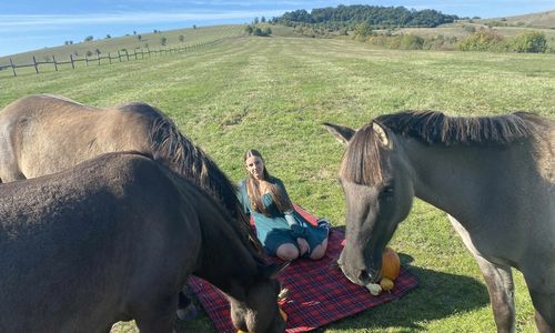 Keleméri Trófeás Vendégház