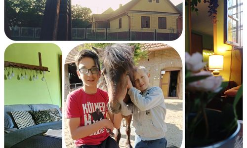 Póni Kuckó Vendégház és Minifarm Hosszúvölgy