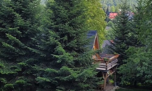 Domek Szałas Frankówka Kościelisko