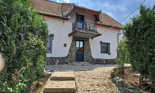 Villa Luiza Șura Mare