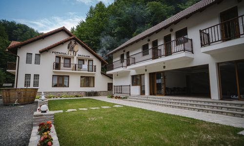 Vila Popasul Dacilor Grădiștea de Munte