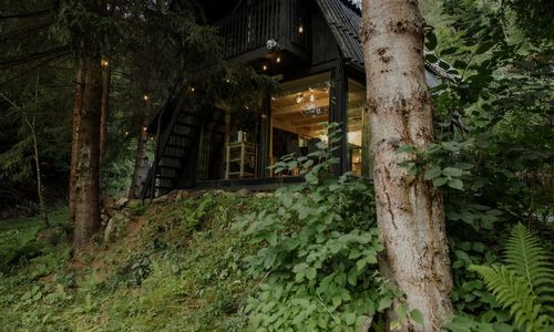 Casa de vacanță Sturzul Negru Munteni