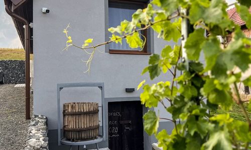 Somló Éden Somlószőlős