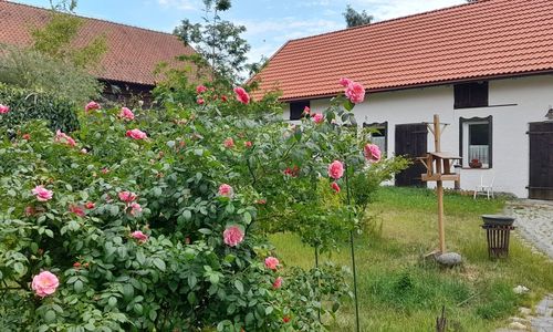 Apartament Ostoja Kamionki