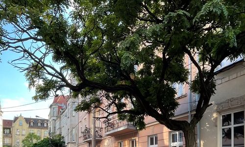 Apartament Długosza 3 Bydgoszcz