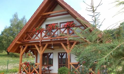 Domek Dzika Stokrotka Idzików, Stronie Śląskie