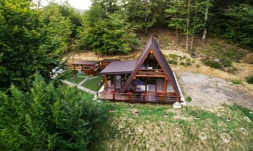 Lake View Cabin Coaș