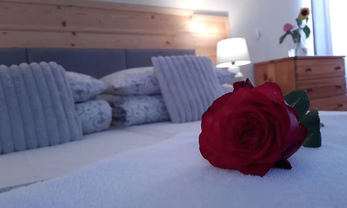 Ambrozja Białka Tatrzańska