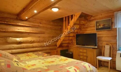 Leśna Odnowa Borków, Kielce