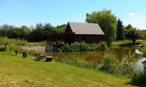 Życia Smak Life's Flavour