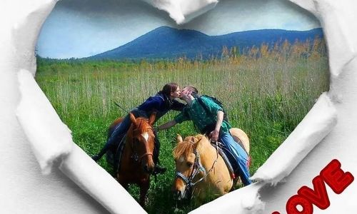 Domek w górach Międzylesie