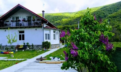 Vila di Pau Băile Herculane