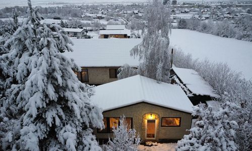 Forest Hide Tiny House Covasna 
