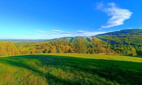 Apartament Sadyba